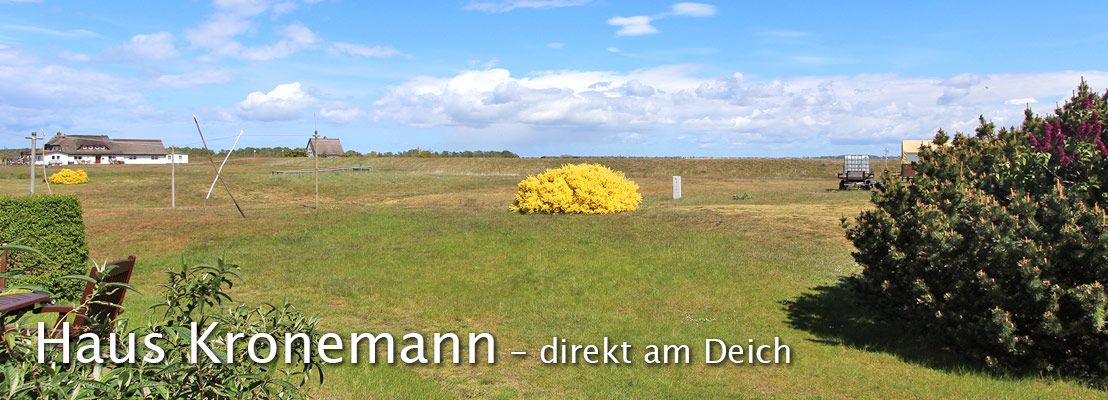 Haus Kronemann in Neuendorf/Hiddensee direkt am Deich