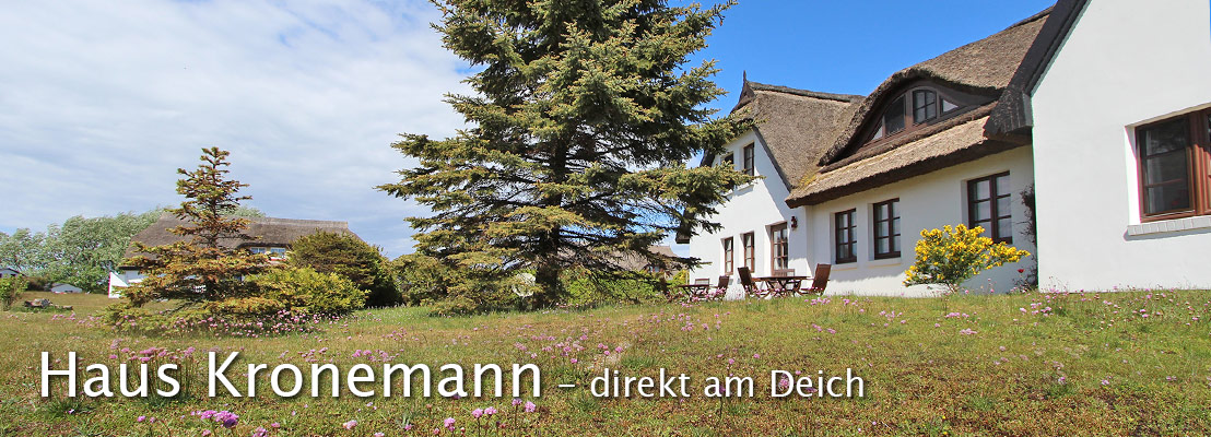 Den Blick schweifen lassen im Ferienhaus Kronemann auf der Insel Hiddensee