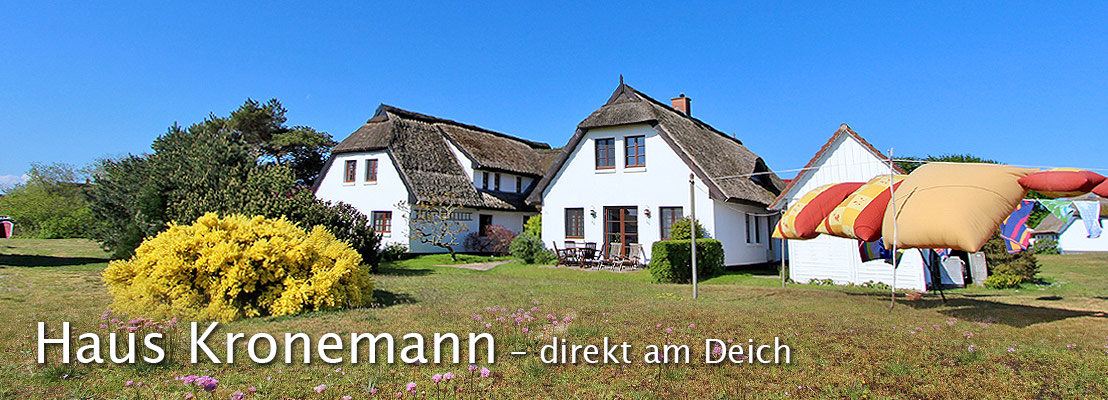 Die Weite der Insel Hiddensee genießen - im Ferienhaus Kronemann in Neuendorf