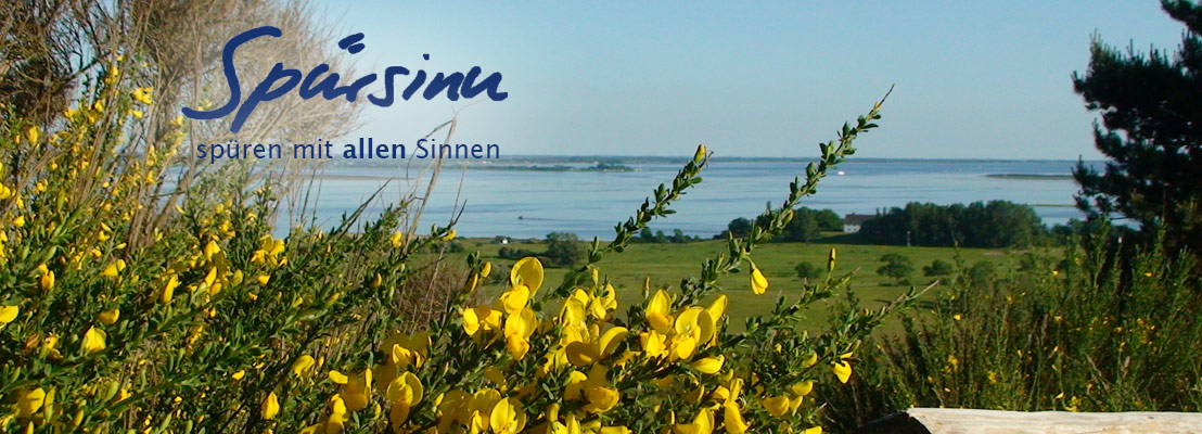 Fastenkurse auf Hiddensee an der Ostsee mit Corny Kronemann