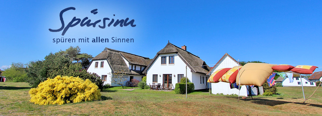 Fastenkurse auf Hiddensee an der Ostsee mit Corny Kronemann